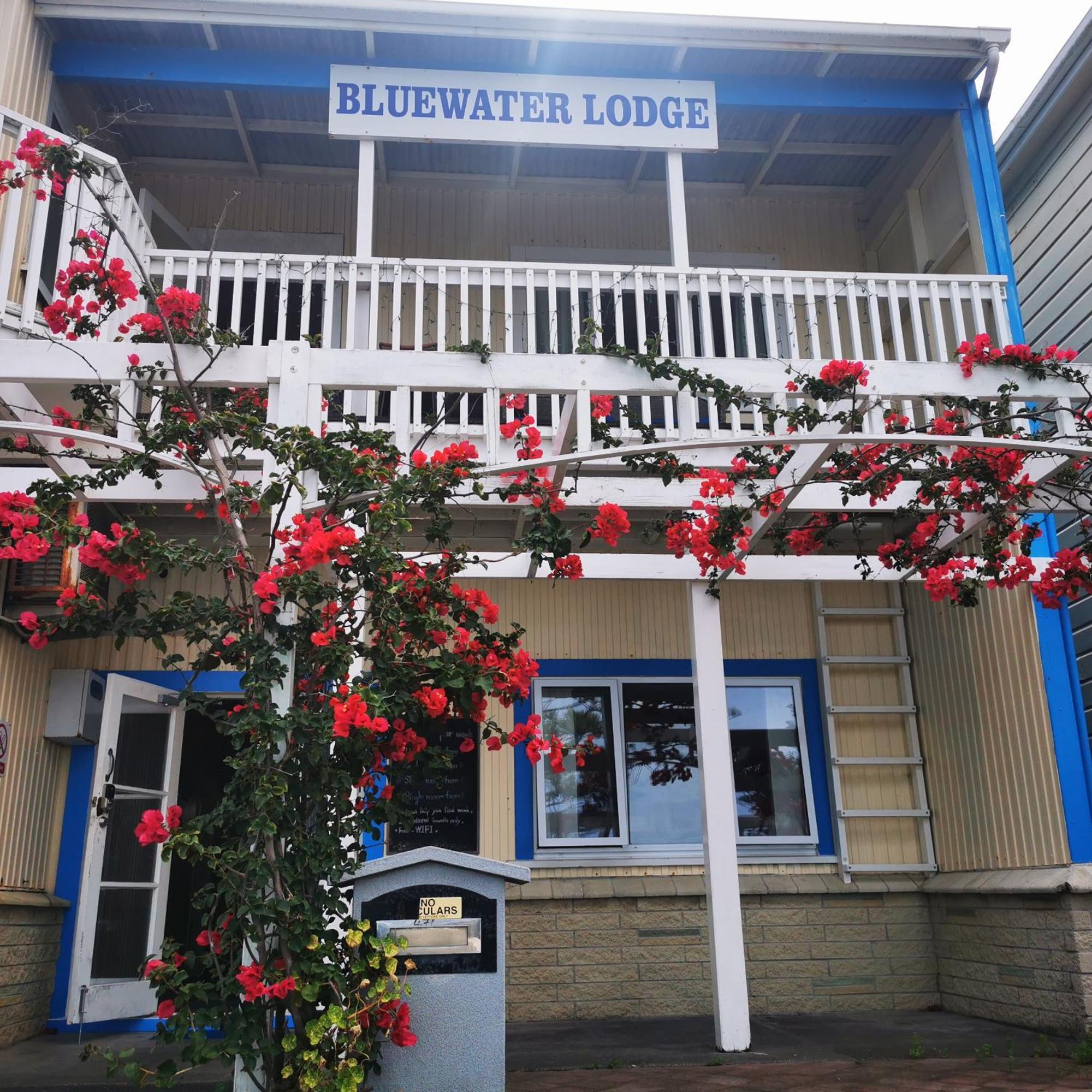 Bluewater Lodge Napier Kültér fotó